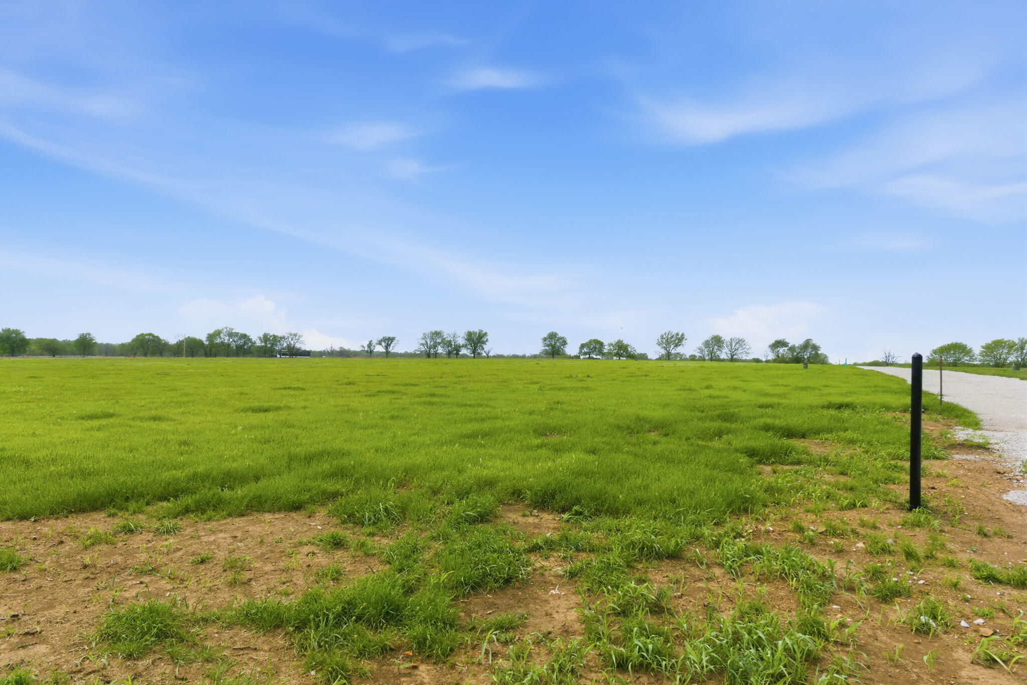 Lot 2 Quail Ridge Estates Stockton, MO 65785 - Photo 4 of 18 4-web-or-mls-DSC09038