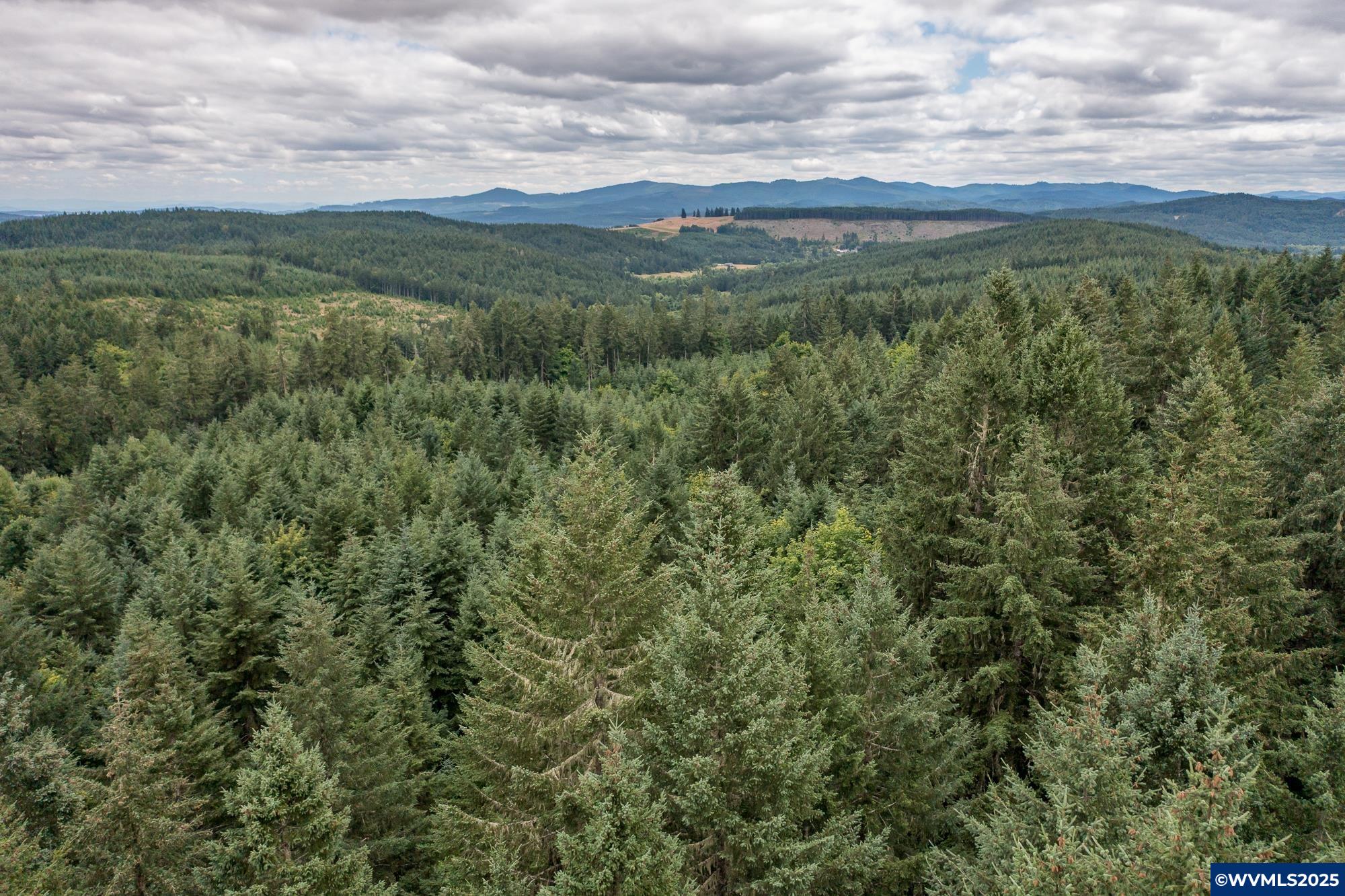 Mctimmonds Road Dallas, OR 97338 - Photo 11 of 20