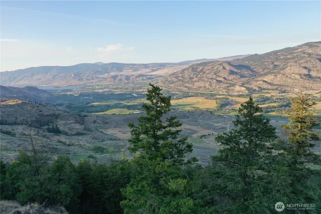 a view of a mountain in the distance in a field