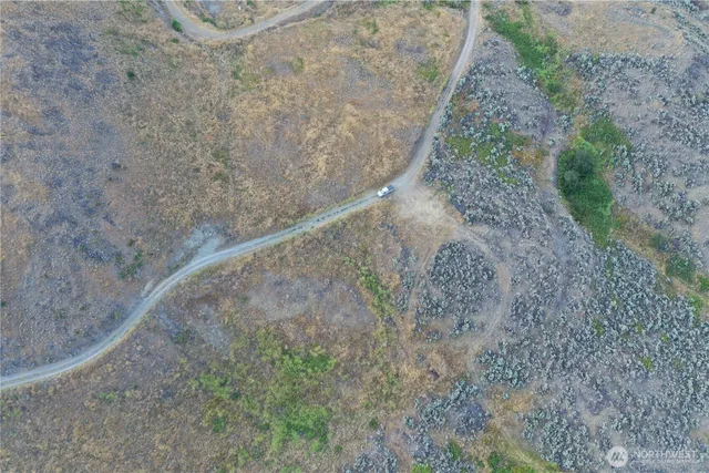 a view of a dry yard with trees