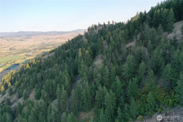 a view of a mountain range with trees