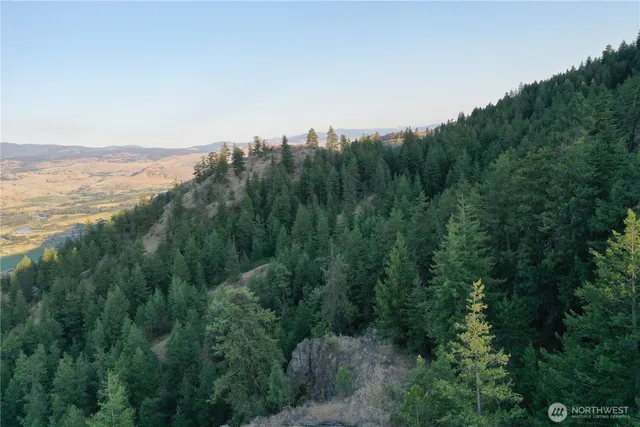 a view of a city with lush green forest