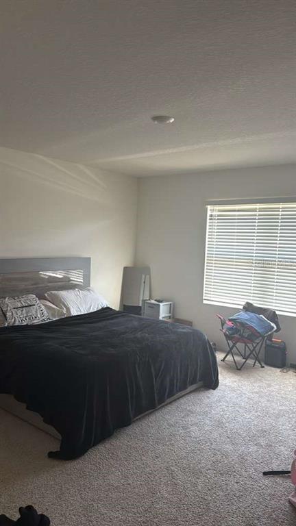6847 Botanic Boulevard Harmony, FL 34773 - Photo 4 of 4 a bedroom with a bed and a window