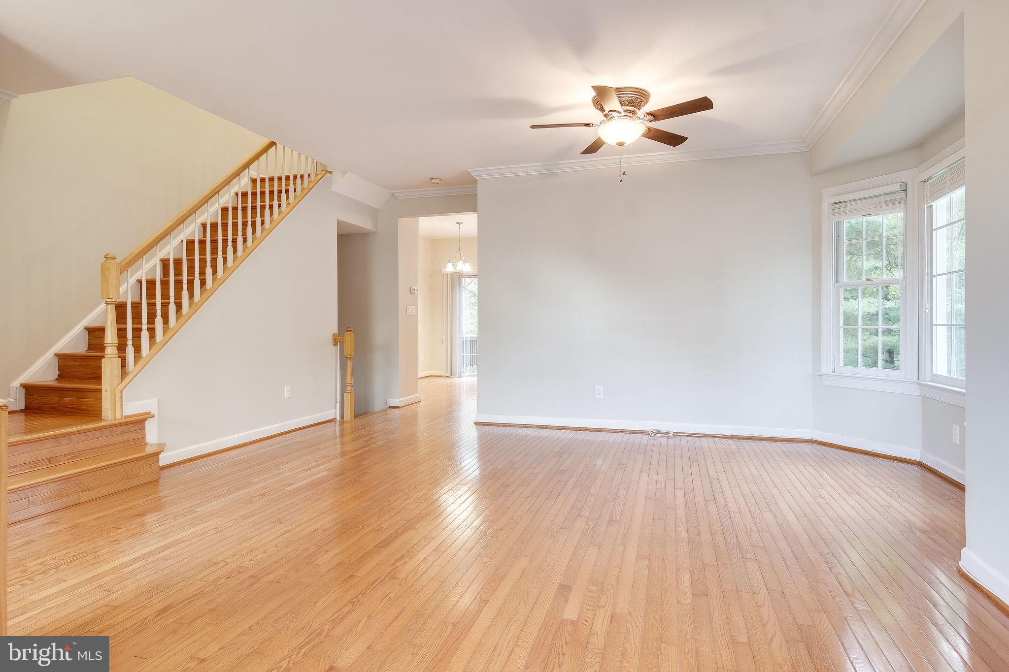 3600 Ransom Place Alexandria, VA 22306 - Photo 4 of 54 Gallery Image 4