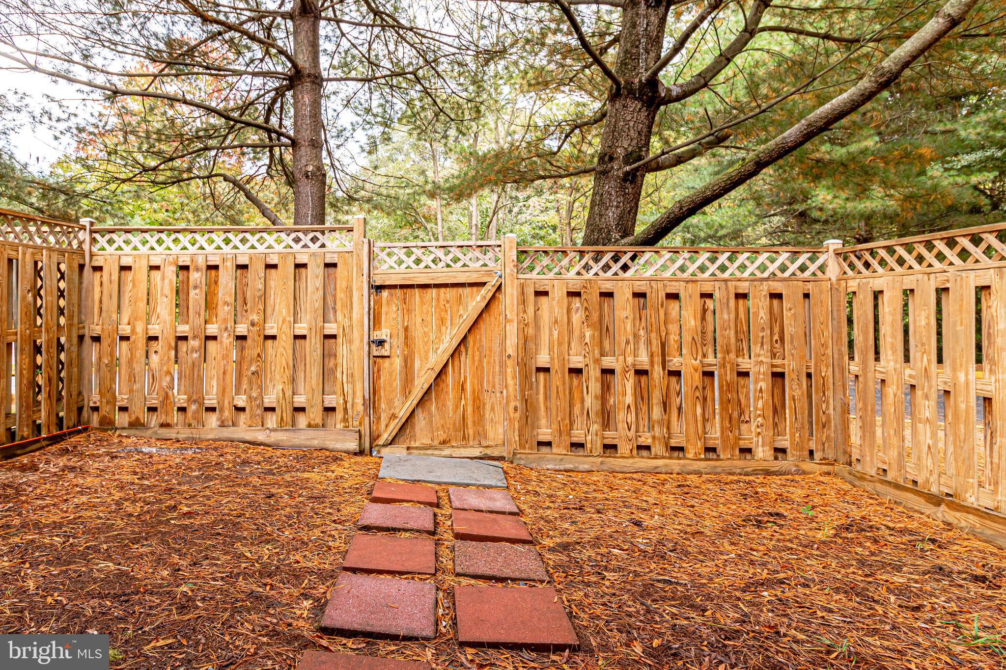 3600 Ransom Place Alexandria, VA 22306 - Photo 49 of 54 Large backyard