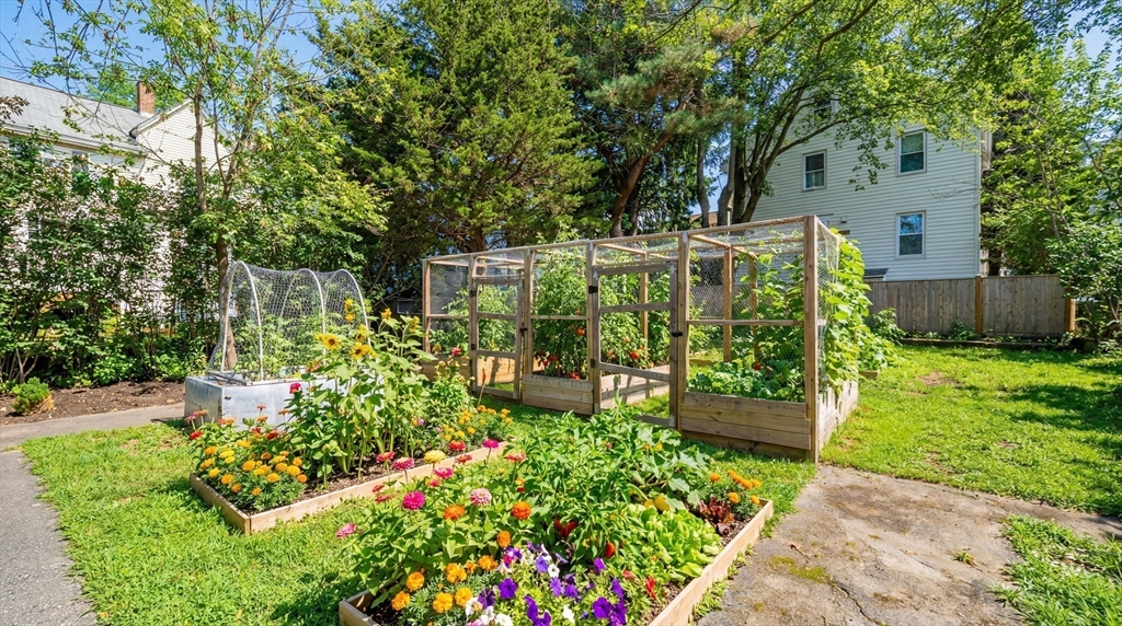 49 Spruce Street Winchester, MA 01890 - Photo 37 of 41