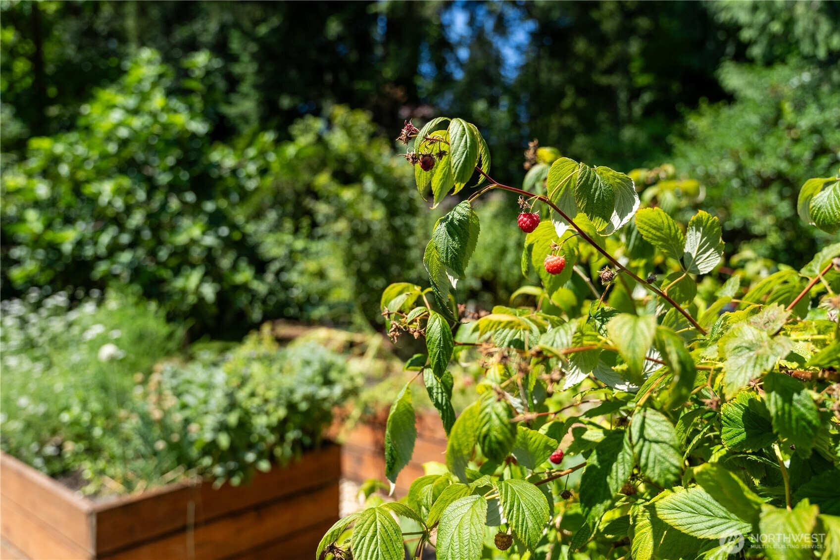 1127 204th Place Southeast Bothell, WA 98012 - Photo 37 of 40