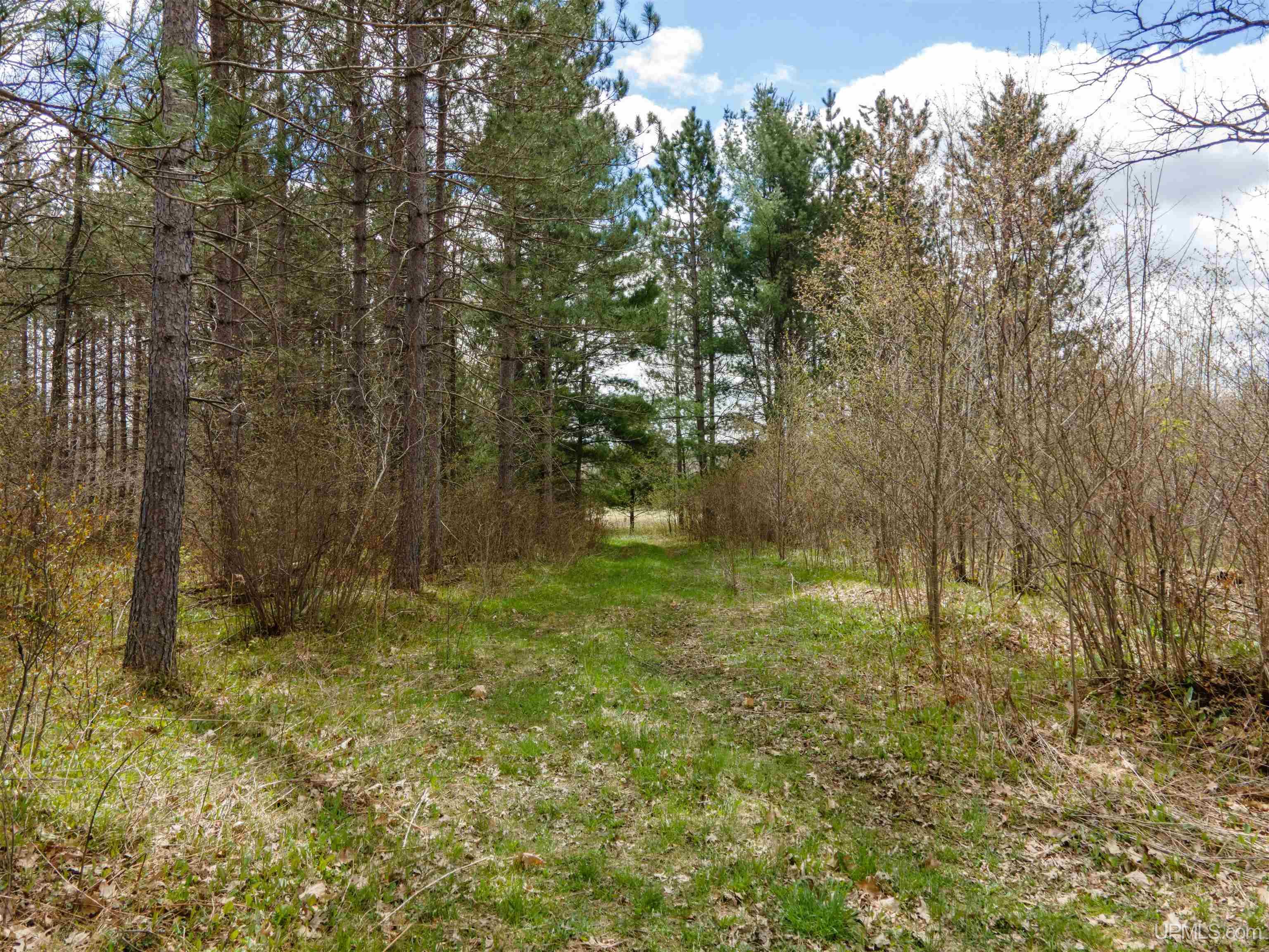 3 Easement Road, Unit LOT 3 Long Lake, WI 54542 - Photo 12 of 25