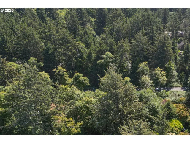 a view of a house with a tree