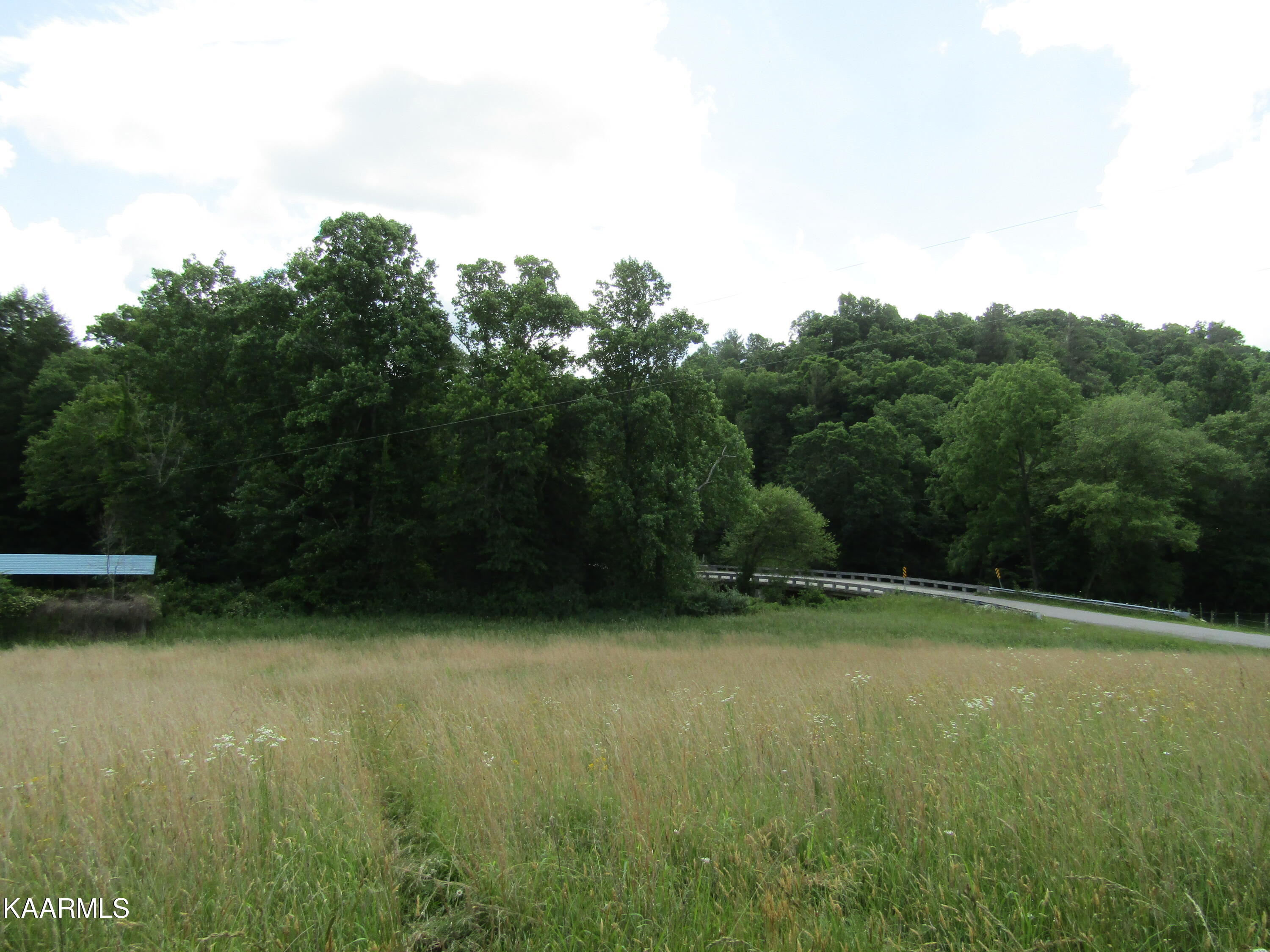 Lot 1 Nydeck Road Robbins, TN 37852 - Photo 17 of 35 IMG_7676