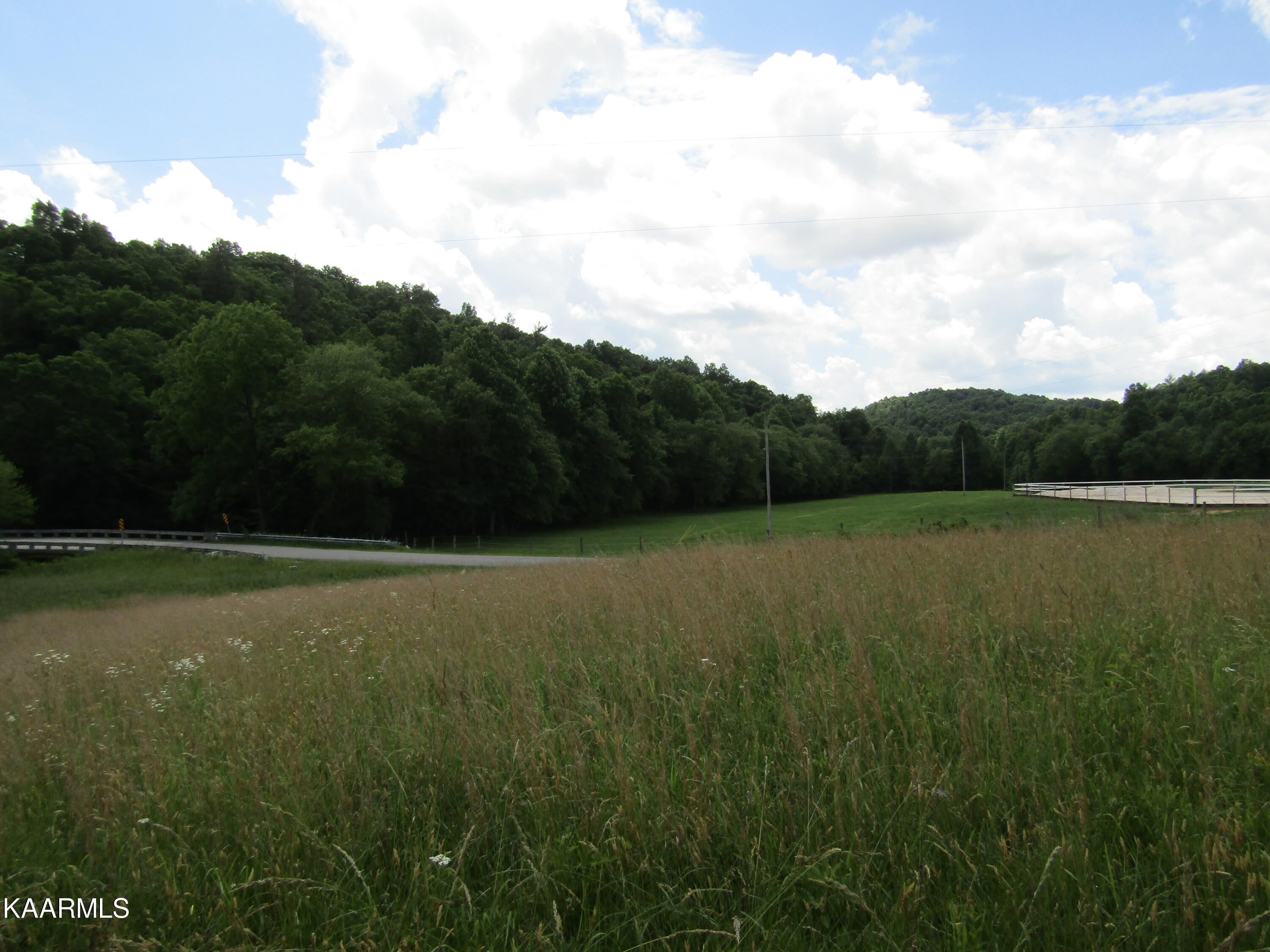 Lot 1 Nydeck Road Robbins, TN 37852 - Photo 19 of 35 IMG_7678