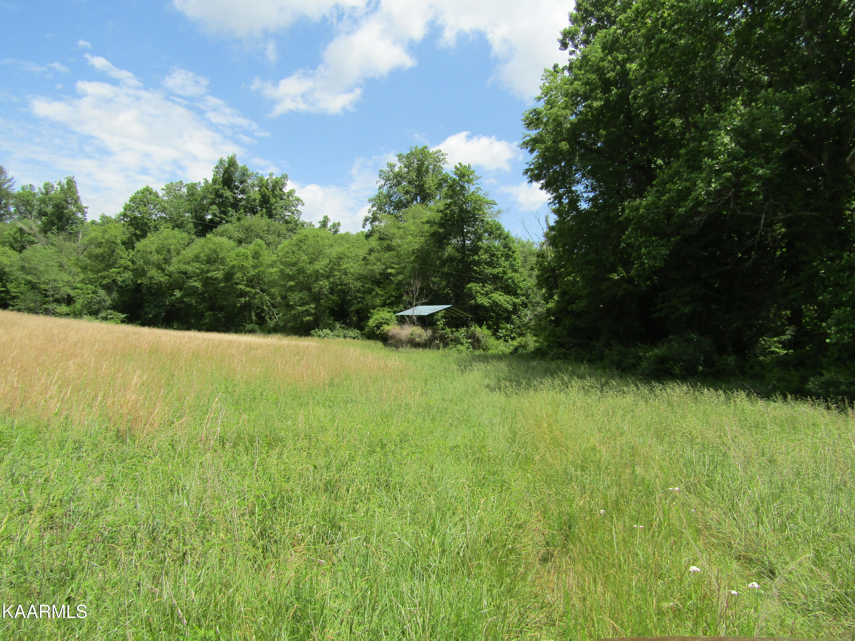 Lot 1 Nydeck Road Robbins, TN 37852 - Photo 8 of 35 IMG_7659