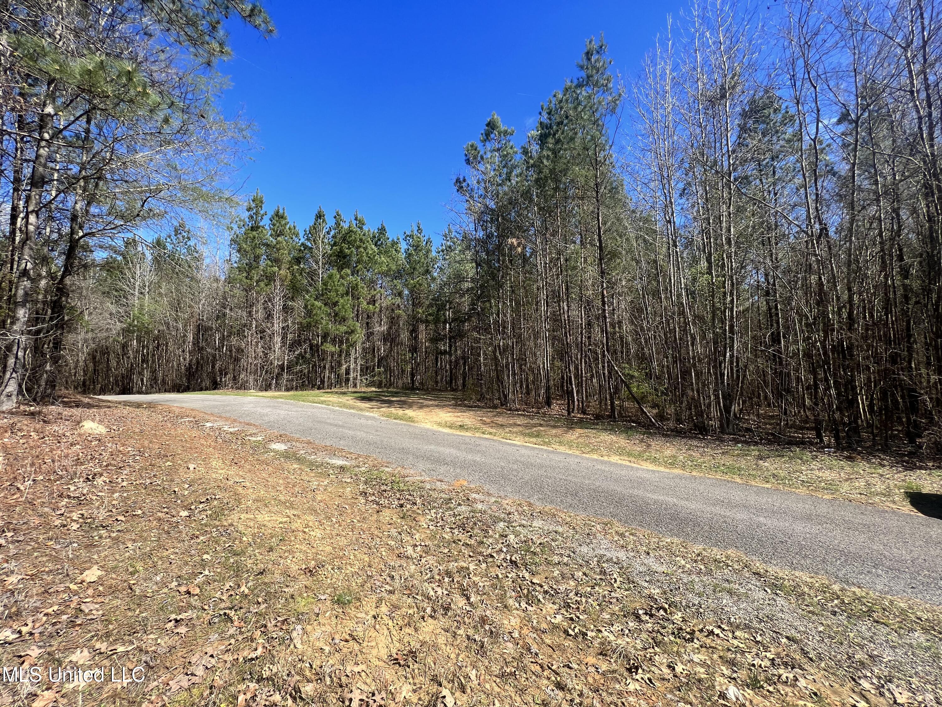 1 Henry Sample Road Brandon, MS 39047 - Photo 1 of 5 D51BEFA8-ECB8-4D4C-9243-60CB27D9D5CB