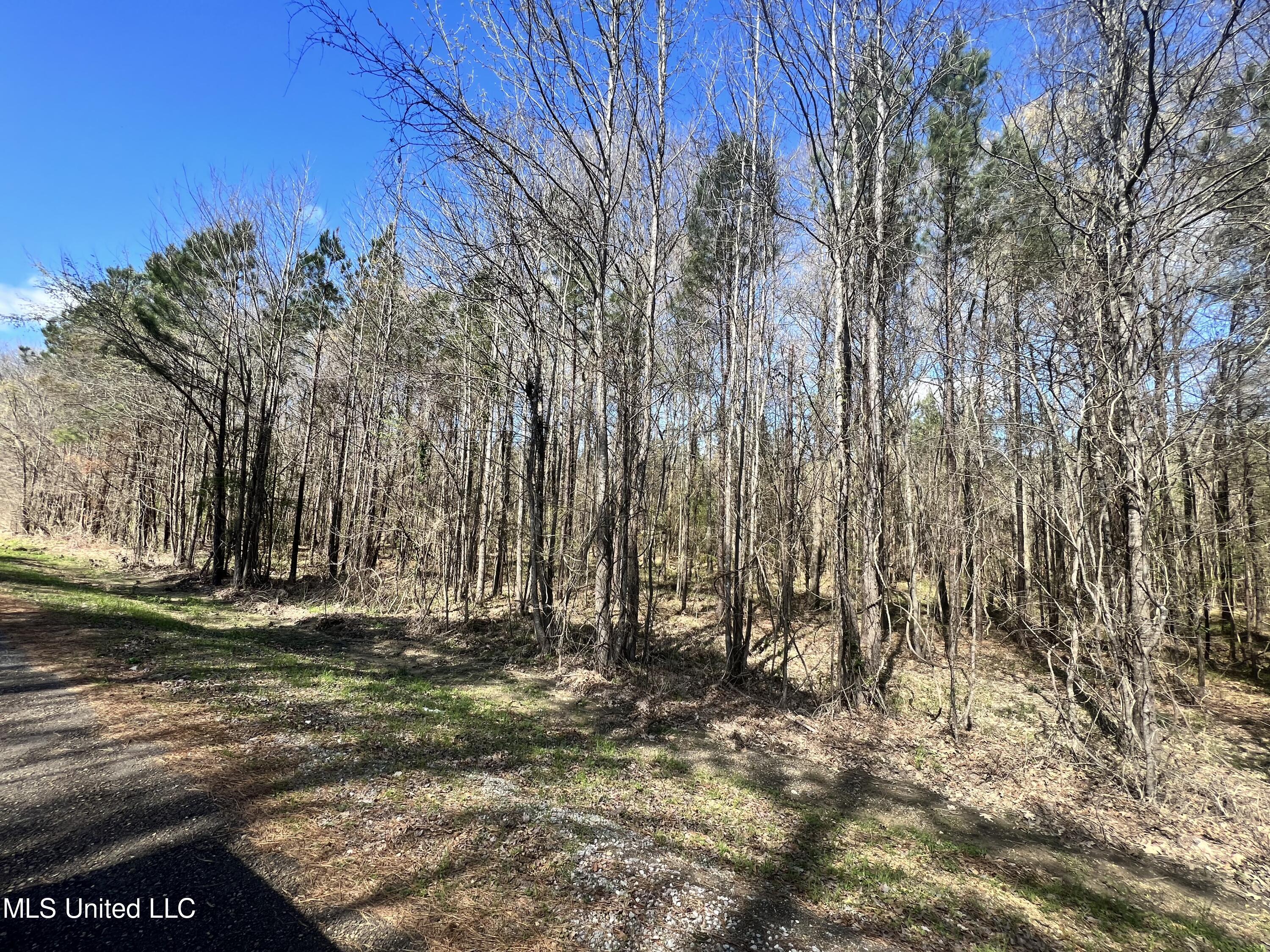 1 Henry Sample Road Brandon, MS 39047 - Photo 5 of 5 9DEFDE53-D00D-4040-966A-884E53D3D328
