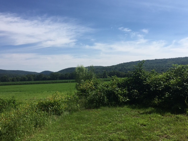 403 Stebbins Road Vernon, VT 05354 - Photo 9 of 11