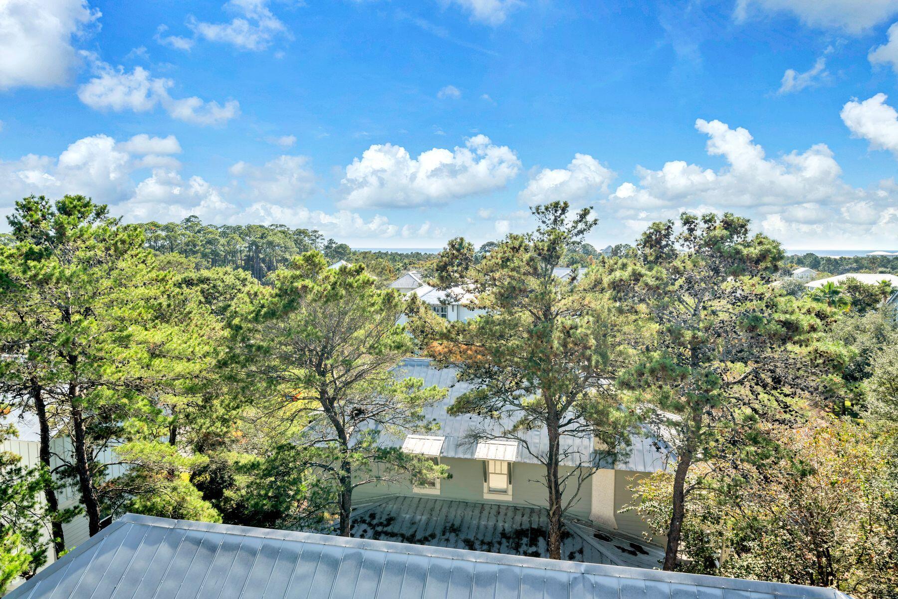 54 Grande Pointe Drive Inlet Beach, FL 32461 - Photo 39 of 57 photo_online_078