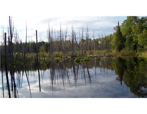 Lot #1 Morrison Road Houlton, ME 04730 - Photo 6 of 13 Exterior Front.
