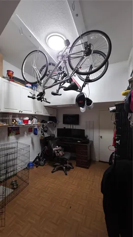 front view of a house with a tree