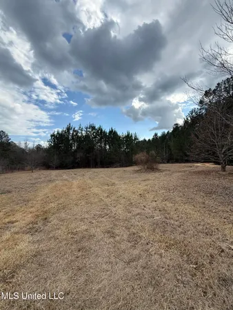 $86,500 | 3174 West Topisaw North, Ruth, MS 39662