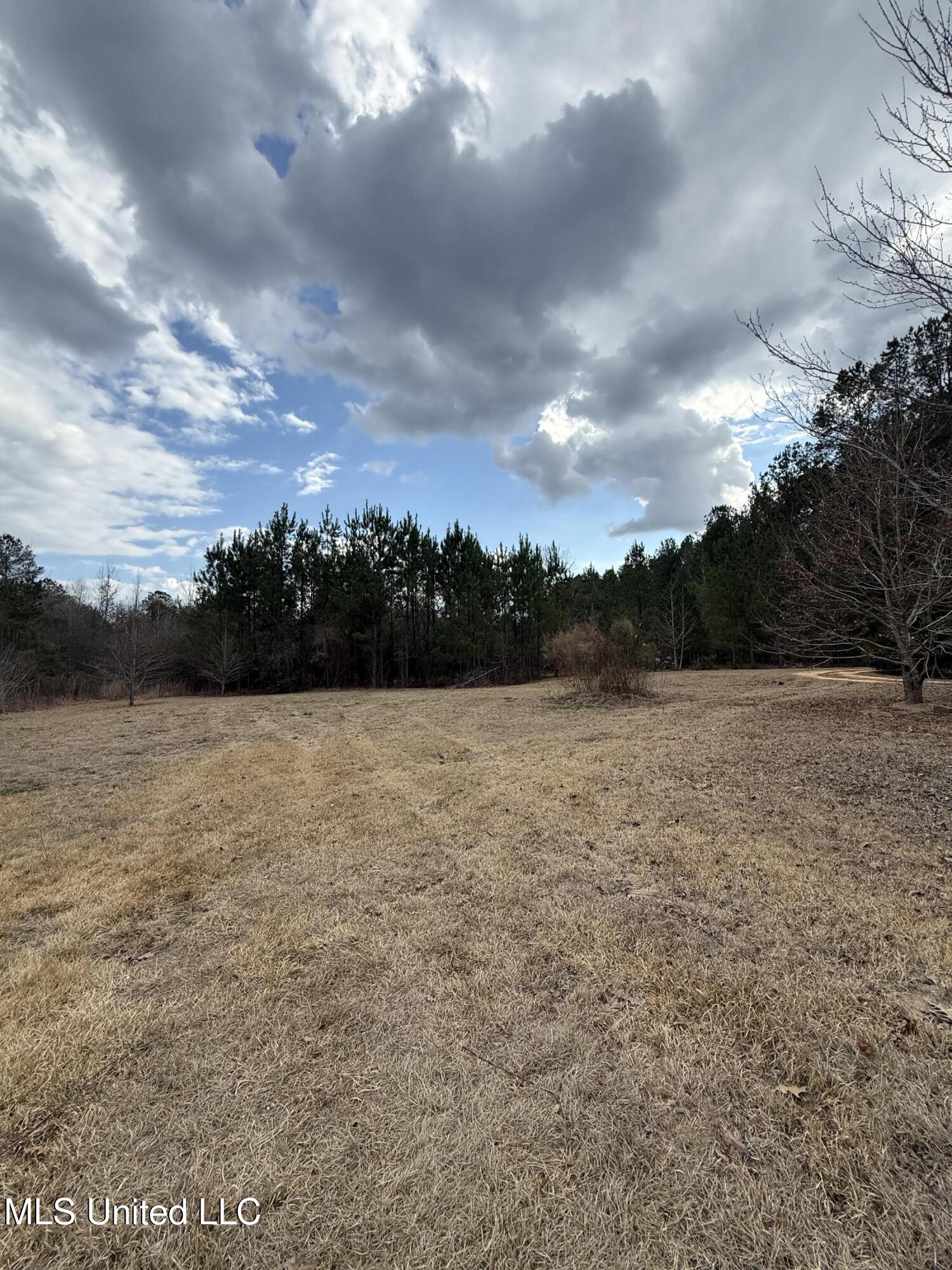 3174 West Topisaw North Ruth, MS 39662 - Photo 11 of 11 Yard