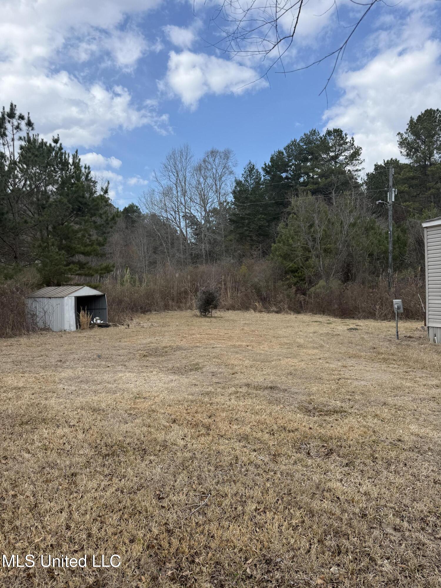 3174 West Topisaw North Ruth, MS 39662 - Photo 10 of 11 Yard