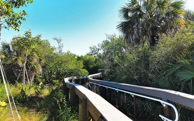 a view of yard with palm trees