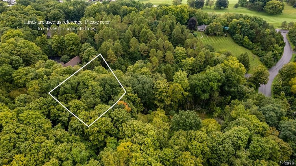 Appletree Ridge Manlius, NY 13104 - Photo 4 of 4