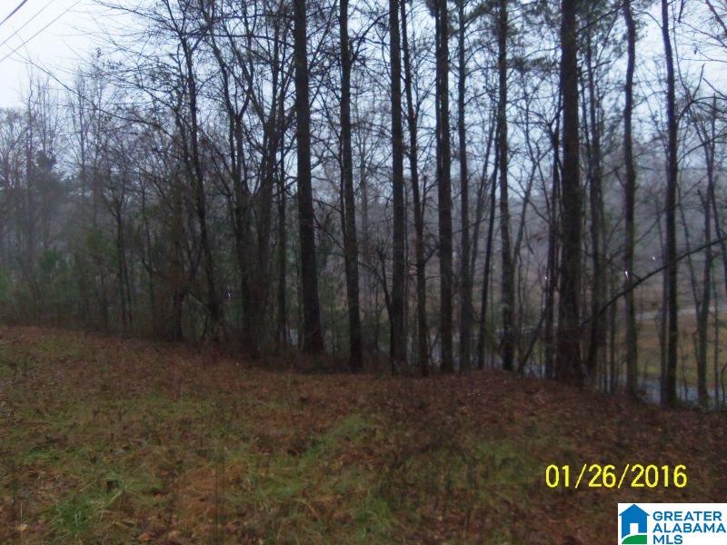 595 Bramlett Road Piedmont, AL 36272 - Photo 7 of 12