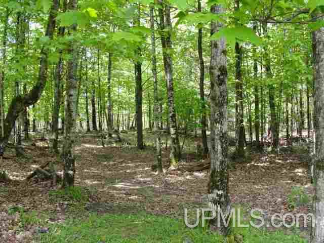 6307 Goodman Grade Road Florence, WI 54121 - Photo 25 of 30 Gallery Image 25