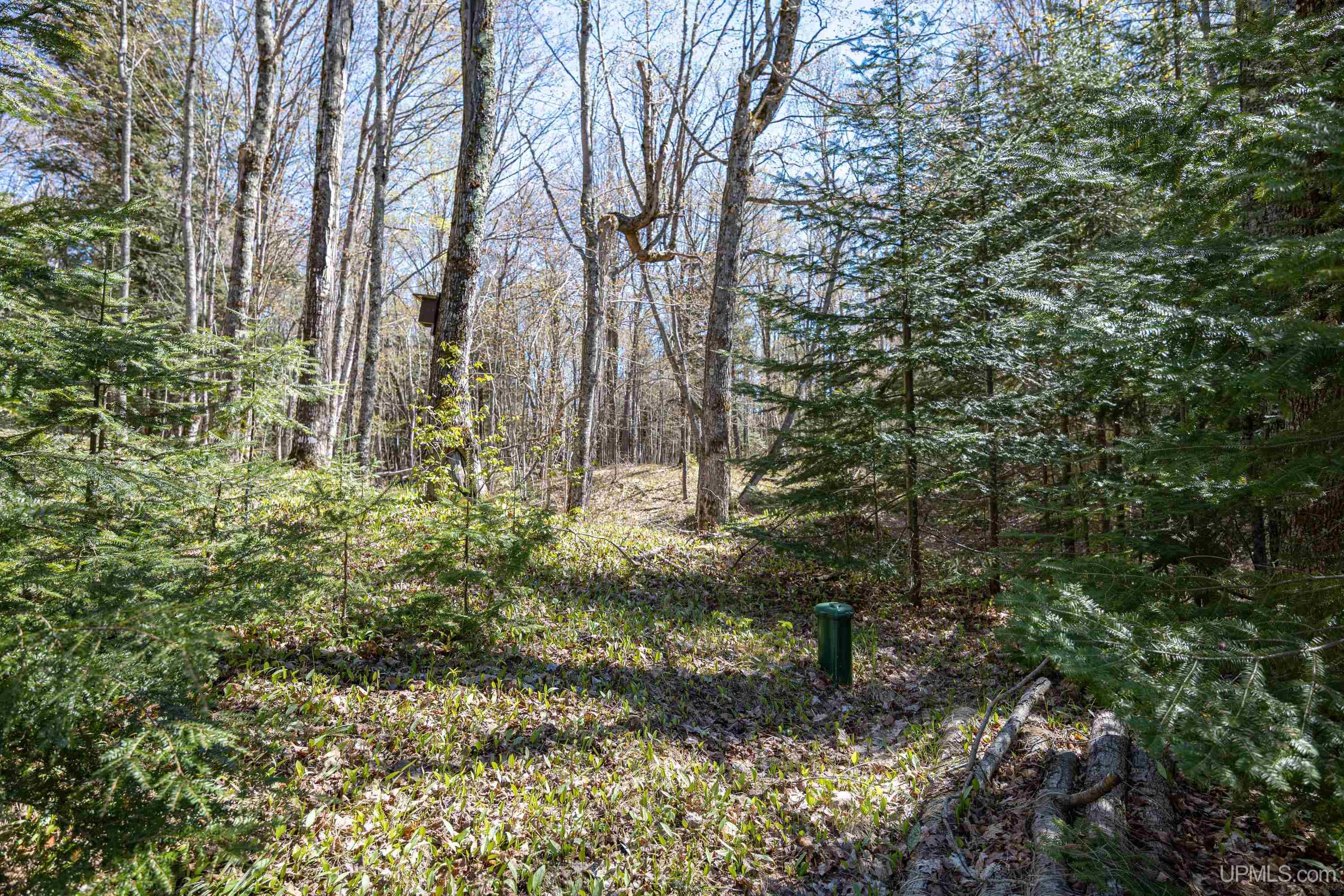 49190 Upper Freda Shores Road Atlantic Mine, MI 49905 - Photo 51 of 68