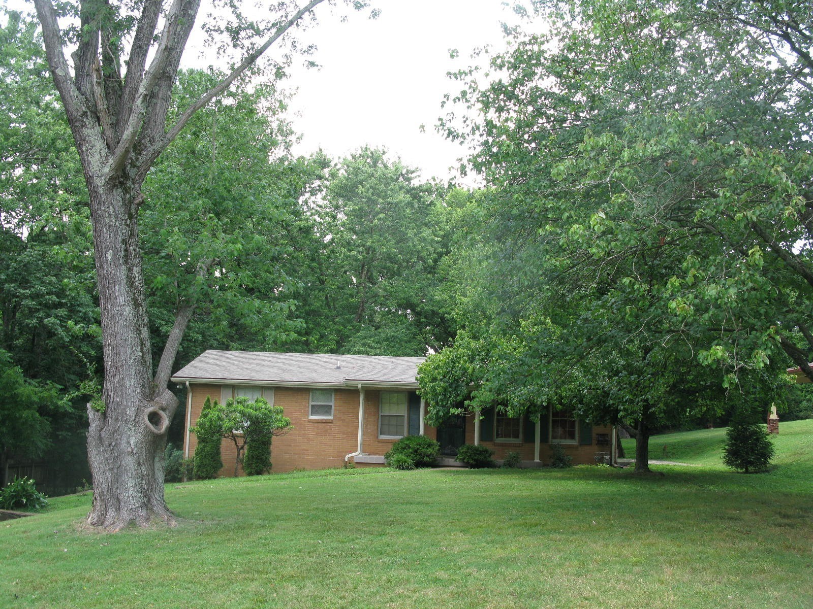 227 Sterling Road Hendersonville, TN 37075 - Photo 2 of 17