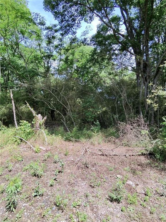 479 Sandtown Road Southeast Cartersville, GA 30121 - Photo 15 of 18 a view of forest