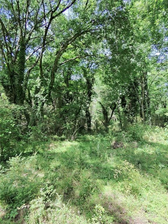 479 Sandtown Road Southeast Cartersville, GA 30121 - Photo 18 of 18 a view of a lush green forest