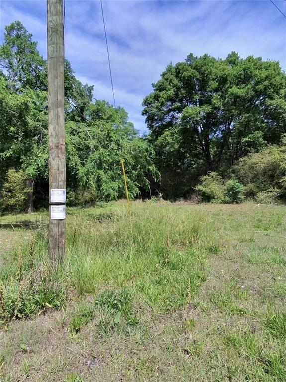 479 Sandtown Road Southeast Cartersville, GA 30121 - Photo 10 of 18 a view of a garden