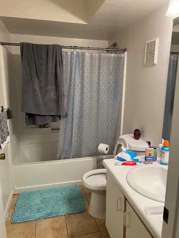 a bathroom with a sink a toilet and shower curtain