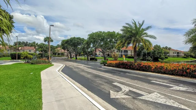 a view of a city with palm trees