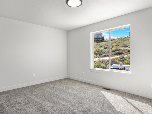 1159 North Broad Hollow Road Garden City, UT 84028 - Photo 44 of 55 Room featuring neutral gray carpeting and white painted walls, illuminated by a contemporary flush-mount ceiling light