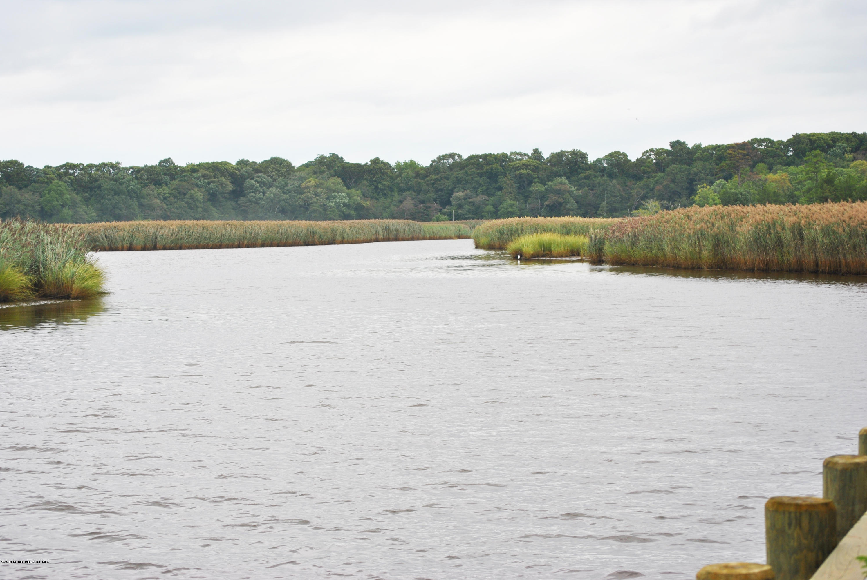 2385 Riverside Terrace Manasquan, NJ 08736 - Photo 48 of 52 DSC_1004