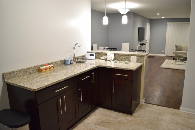 1905 West Golf Road, Unit 1A Mount Prospect, IL 60056 - Photo 8 of 24 a kitchen with a sink a counter space and cabinets