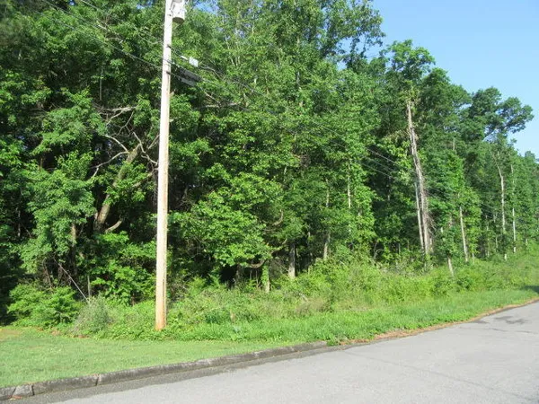 $35,000 | 0 Hickory Ridge Trail, Unit 219, Ringgold, GA 30736