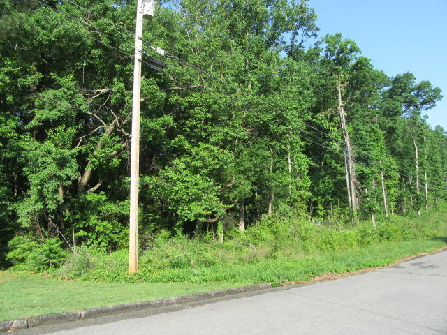 Hickory ridge 01 02