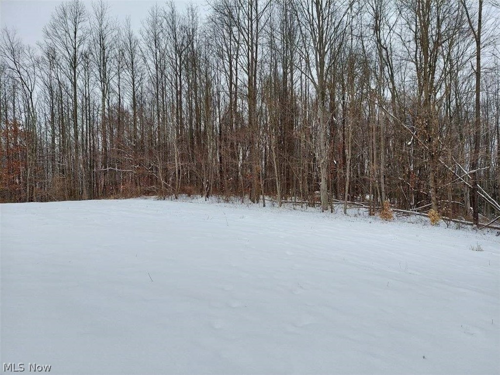 16567 Liberty Road Southwest Newcomerstown, OH 43832 - Photo 24 of 35 Gallery Image 24