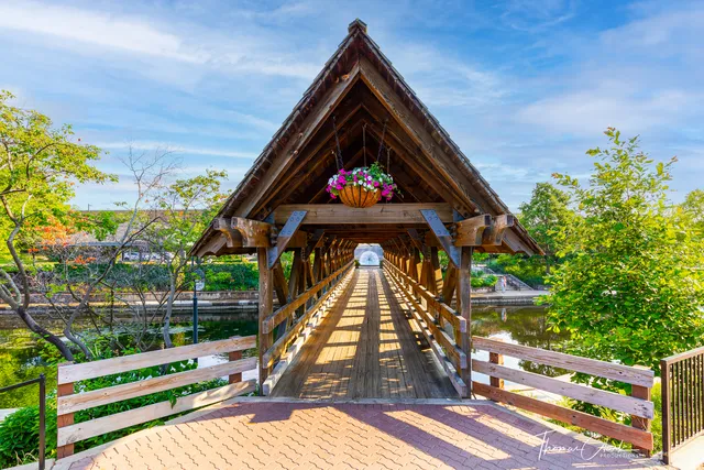 $1,950,000 | 203 South Columbia Street, Naperville, IL 60540