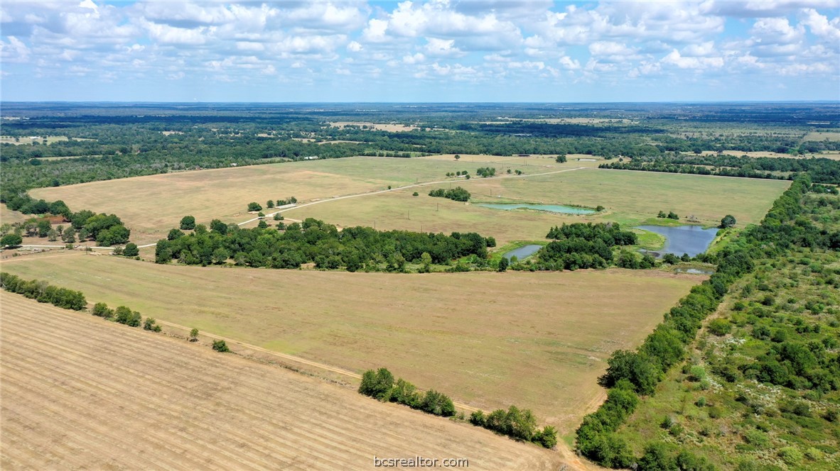 12068 Dunns Fort Road Hearne, TX 77859 - Photo 9 of 50 Gallery Image 9