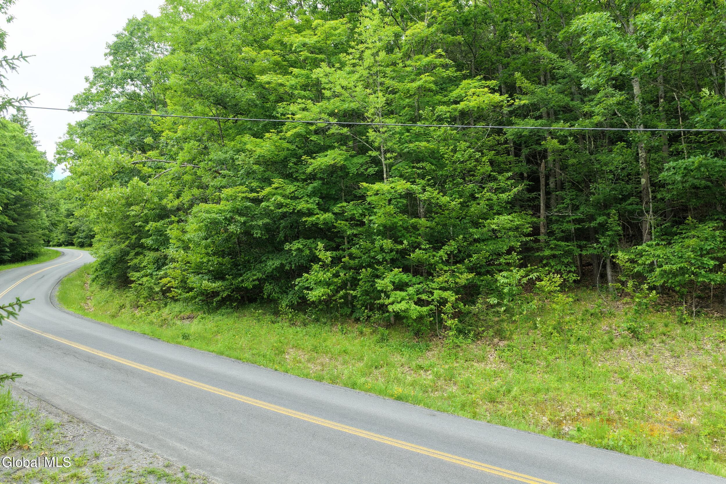L1.00 Cotton Hill Road Middleburgh, NY 12122 - Photo 14 of 17 dji_20260616014151_0060_d