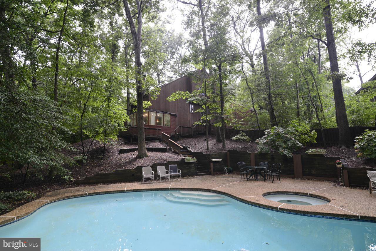 a view of a swimming pool with a patio and plants