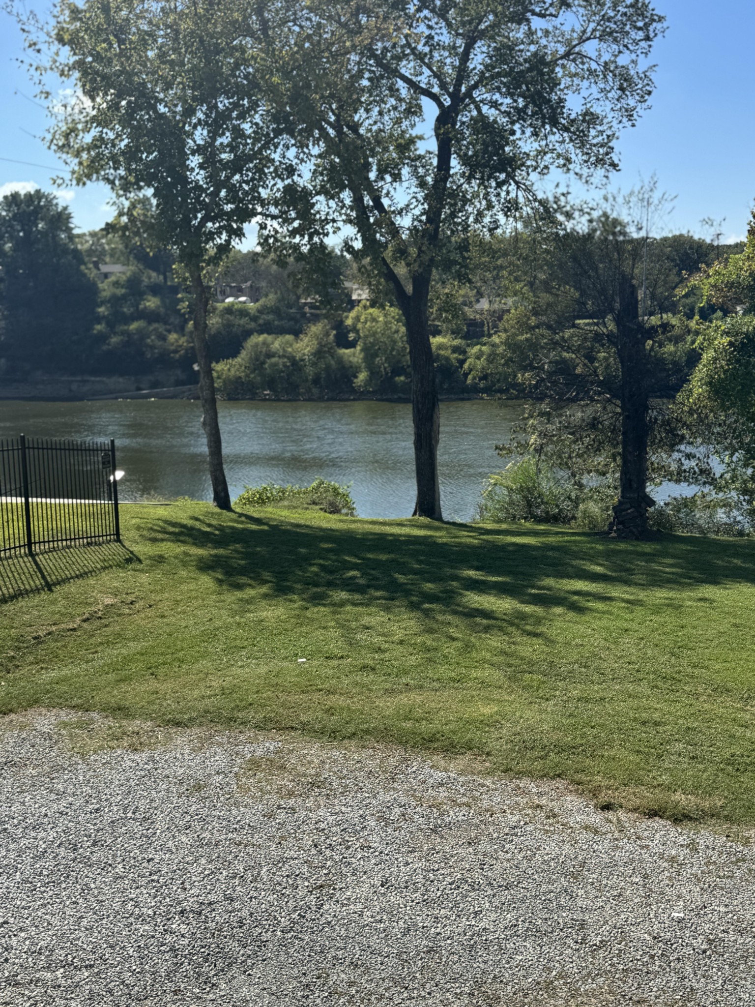 a view of a yard with a tree