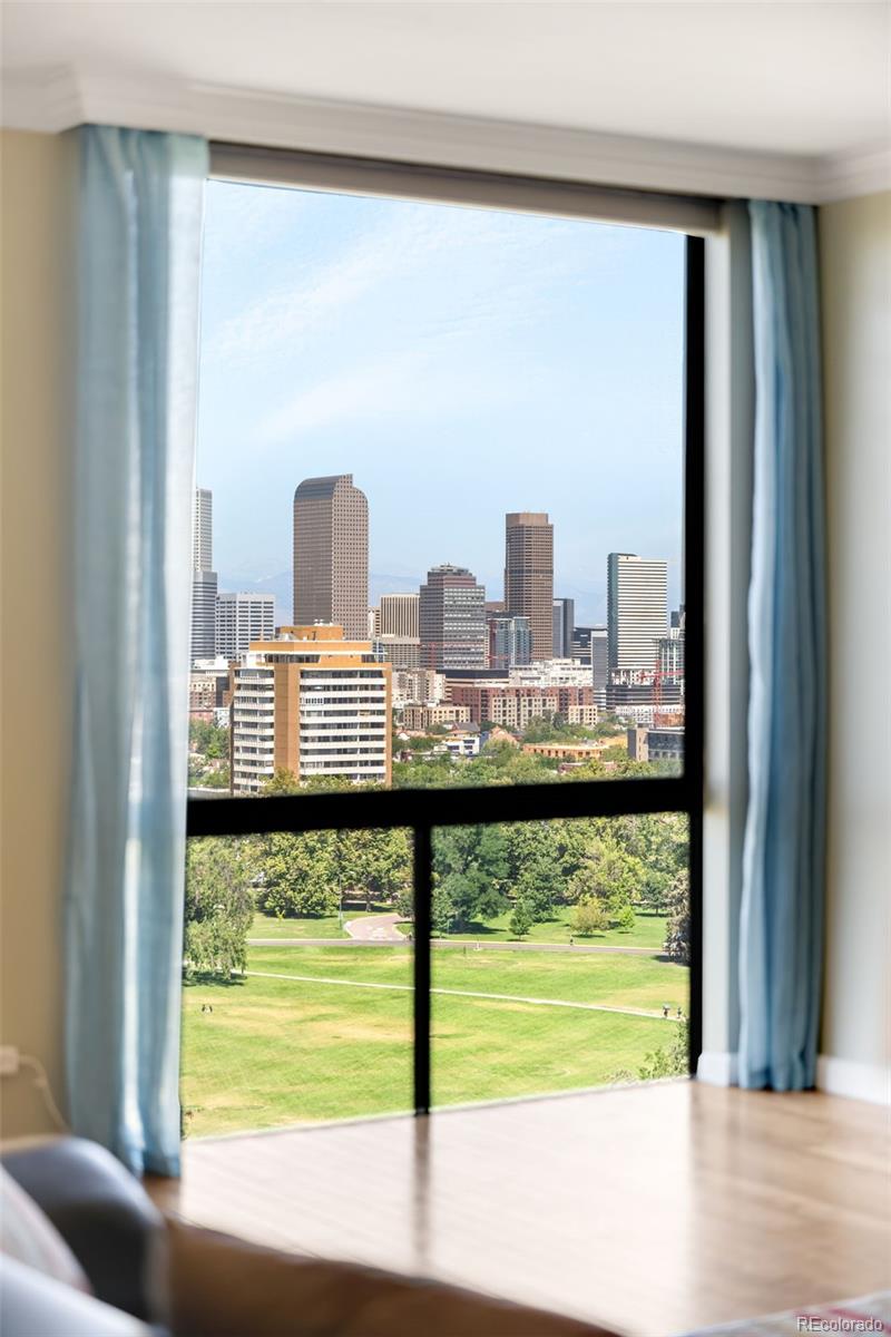 1111 Race Street, Unit 14B Denver, CO 80206 - Photo 3 of 43 Gallery Image 3