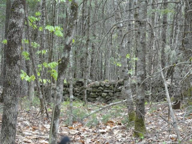 Map 7-lot Map 7-lot Pond Hill Rd Brooks Brooks, ME 04921 - Photo 6 of 15 Pond Hill 3
