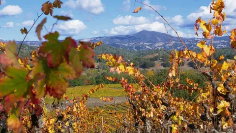 $2,495,000 | 8983 West Dry Creek Road, Healdsburg, CA 95448